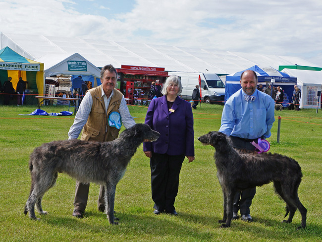 Best of Breed Blackpool 2013